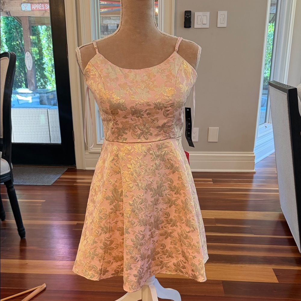 Trixxi Pink and Gold Floral Metallic Mini Dress